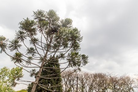 Casa à venda com 600m², 5 quartos e 2 vagasVista da Suíte 2