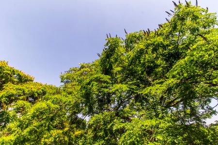 Casa à venda com 386m², 4 quartos e 4 vagas Casa à venda com 386m², 4 quartos e 4 vagasVista do Quarto