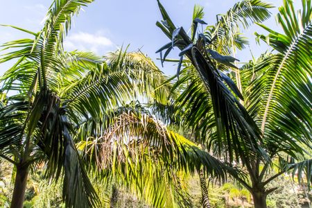 Casa à venda com 845m², 5 quartos e 4 vagasVista da Varanda da Suíte master 2