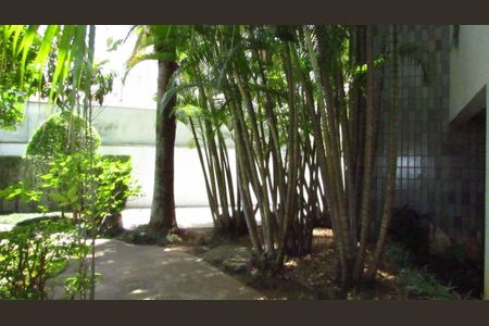 Apartamento à venda com 226m², 3 quartos e 3 vagas