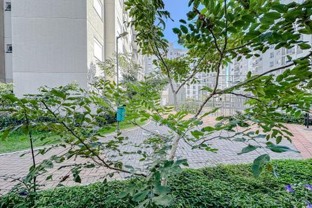 Apartamento para alugar com 44m², 2 quartos e sem vagaVista do Quarto 1