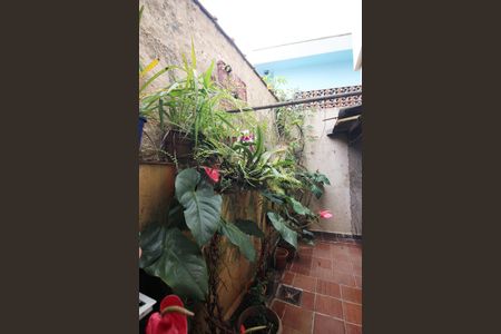 Casa à venda com 239m², 3 quartos e 2 vagasQuintal