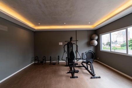 Apartamento à venda com 55m², 2 quartos e 1 vaga Apartamento à venda com 55m², 2 quartos e 1 vagaÁrea comum - Academia