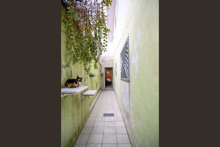 Casa à venda com 155m², 3 quartos e 2 vagas Casa à venda com 155m², 3 quartos e 2 vagasQuintal