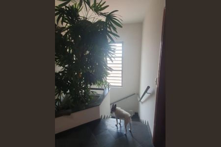 Casa à venda com 220m², 4 quartos e 3 vagas Casa à venda com 220m², 4 quartos e 3 vagasFoto 05