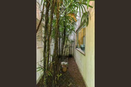 Casa para alugar com 260m², 4 quartos e 3 vagas Casa para alugar com 260m², 4 quartos e 3 vagasJardim de Inverno