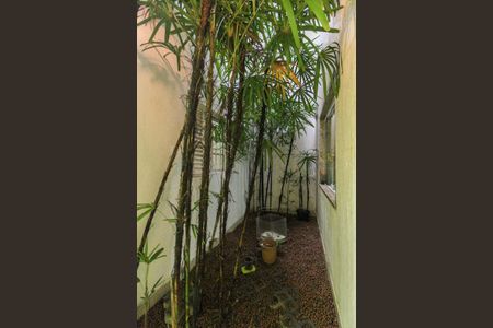 Casa para alugar com 260m², 4 quartos e 3 vagas Casa para alugar com 260m², 4 quartos e 3 vagasJardim de Inverno