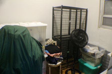 Apartamento à venda com 293m², 4 quartos e 2 vagas Apartamento à venda com 293m², 4 quartos e 2 vagasÁrea de Serviço - Quarto