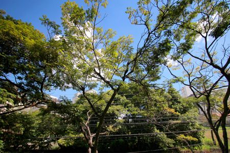 Apartamento à venda com 105m², 3 quartos e 2 vagasVista do Quarto 2