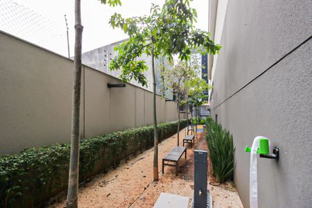 Apartamento para alugar com 69m², 2 quartos e 1 vaga Apartamento para alugar com 69m², 2 quartos e 1 vagaÁrea comum - Espaço Pet