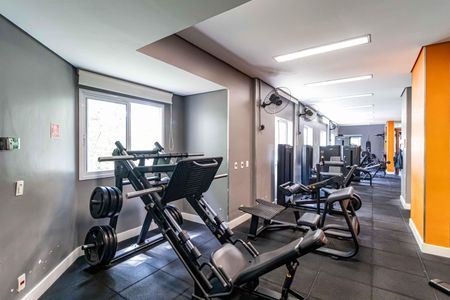 Apartamento à venda com 380m², 5 quartos e 3 vagasÁrea comum - Academia