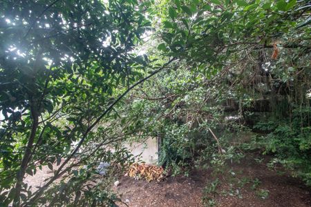 Casa à venda com 50m², 2 quartos e 1 vagaVista