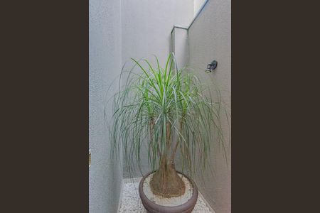 Casa de condomínio para alugar com 320m², 3 quartos e 4 vagas Casa de condomínio para alugar com 320m², 3 quartos e 4 vagasÁrea de Luz