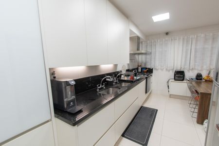 Apartamento à venda com 245m², 3 quartos e 5 vagasCozinha