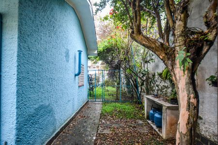 Casa à venda com 300m², 4 quartos e 3 vagasÁrea comum - Quintal