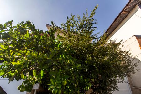 Casa de condomínio à venda com 390m², 4 quartos e 2 vagas Casa de condomínio à venda com 390m², 4 quartos e 2 vagasÁrea comum