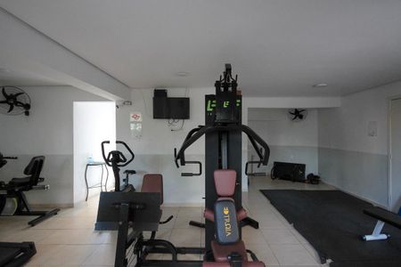 Apartamento à venda com 52m², 2 quartos e 1 vaga Apartamento à venda com 52m², 2 quartos e 1 vagaÁrea comum - Academia