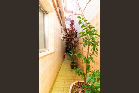 Casa para alugar com 150m², 4 quartos e 2 vagas Casa para alugar com 150m², 4 quartos e 2 vagasCorredor Externo