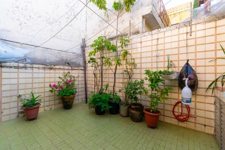 Casa para alugar com 150m², 4 quartos e 2 vagas Casa para alugar com 150m², 4 quartos e 2 vagasQuintal