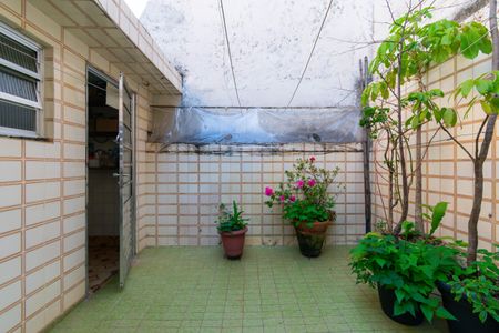 Casa para alugar com 150m², 4 quartos e 2 vagas Casa para alugar com 150m², 4 quartos e 2 vagasQuintal