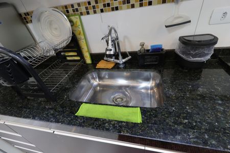 Apartamento à venda com 59m², 2 quartos e 1 vagaCozinha - Pia