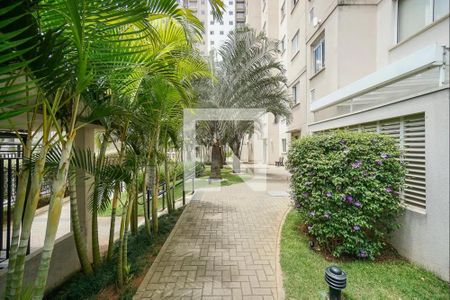 Apartamento à venda com 44m², 2 quartos e sem vaga Apartamento à venda com 44m², 2 quartos e sem vagaÁrea comum