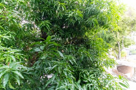 Apartamento à venda com 70m², 2 quartos e 1 vaga Apartamento à venda com 70m², 2 quartos e 1 vagaVista do Quarto 2