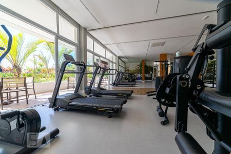 Apartamento para alugar com 130m², 4 quartos e 2 vagas Apartamento para alugar com 130m², 4 quartos e 2 vagasÁrea comum - Academia