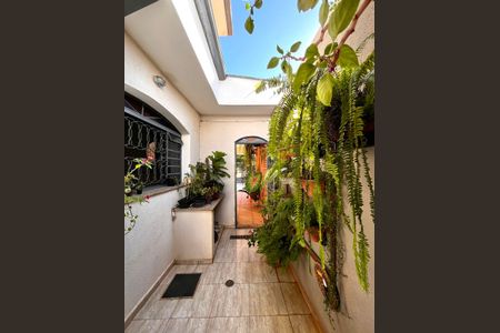 Casa à venda com 217m², 4 quartos e 4 vagas Casa à venda com 217m², 4 quartos e 4 vagasQuintal