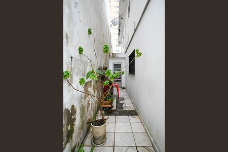 Casa à venda com 306m², 3 quartos e 2 vagasQuintal