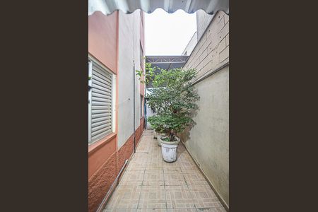 Apartamento para alugar com 90m², 2 quartos e 1 vagaQuintal