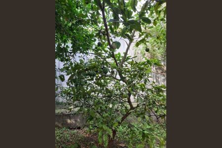 Casa à venda com 200m², 3 quartos e 3 vagas