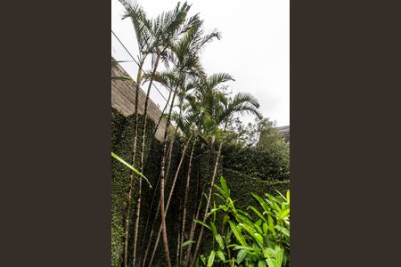 Casa à venda com 790m², 4 quartos e 6 vagasQuintal