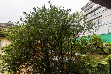 Casa à venda com 790m², 4 quartos e 6 vagasVista da Suíte 3