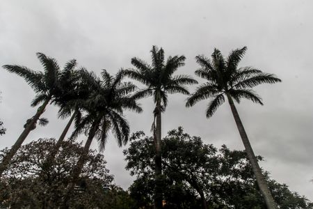 Casa à venda com 790m², 4 quartos e 6 vagasÁrea comum