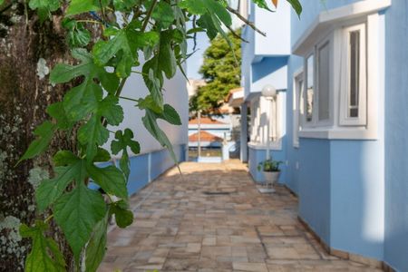 Casa à venda com 267m², 3 quartos e 4 vagas