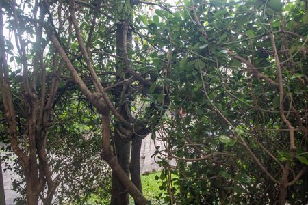 Casa à venda com 300m², 4 quartos e 5 vagasVista da Sala 2