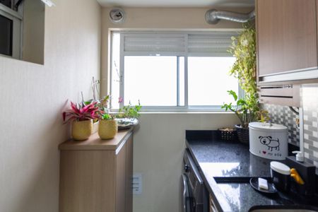 Apartamento à venda com 69m², 2 quartos e 1 vaga Apartamento à venda com 69m², 2 quartos e 1 vagaÁrea de Serviço