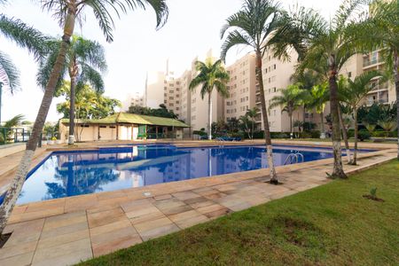 Apartamento à venda com 65m², 3 quartos e 1 vagaÁrea comum - Piscina