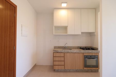 Cozinha de apartamento para alugar com 2 quartos, 48m² em Recreio das Acacias, Ribeirão Preto