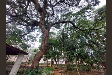 Apartamento à venda com 86m², 3 quartos e 2 vagasÁrea comum