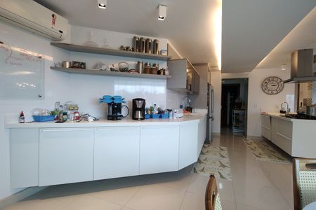 Casa de condomínio à venda com 441m², 3 quartos e 2 vagasCozinha - Armários