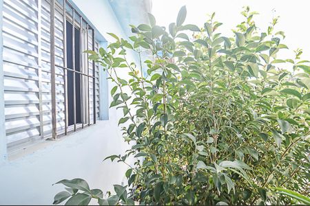 Casa à venda com 237m², 4 quartos e 4 vagas Casa à venda com 237m², 4 quartos e 4 vagasVista do Quarto 2