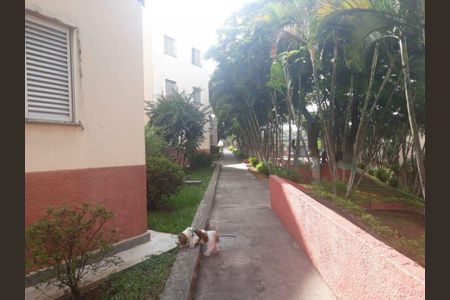 Apartamento à venda com 75m², 3 quartos e 1 vaga