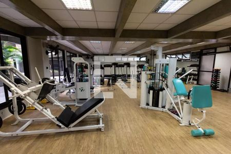Apartamento para alugar com 246m², 5 quartos e 4 vagas Apartamento para alugar com 246m², 5 quartos e 4 vagasArea Comum - Academia