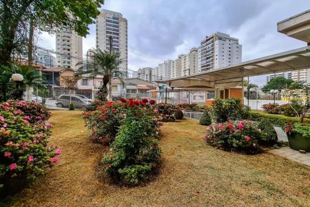 Apartamento para alugar com 66m², 2 quartos e 1 vaga Apartamento para alugar com 66m², 2 quartos e 1 vagaÁrea comum