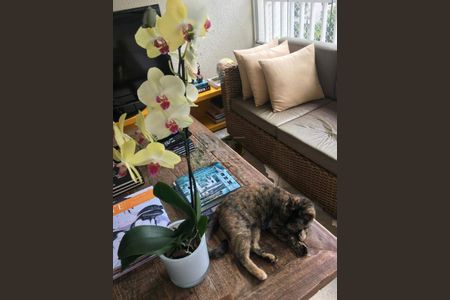 Apartamento à venda com 203m², 3 quartos e 4 vagas