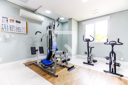 Apartamento à venda com 67m², 3 quartos e 1 vaga Apartamento à venda com 67m², 3 quartos e 1 vagaÁrea comum - Academia