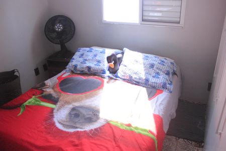 Apartamento à venda com 54m², 3 quartos e 1 vagaQuarto 1