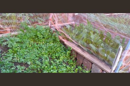 Apartamento à venda com 70m², 3 quartos e 1 vaga Apartamento à venda com 70m², 3 quartos e 1 vagaFoto 24